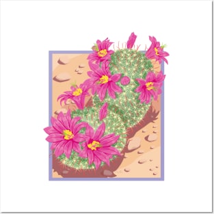 Pincushion Cactus Posters and Art